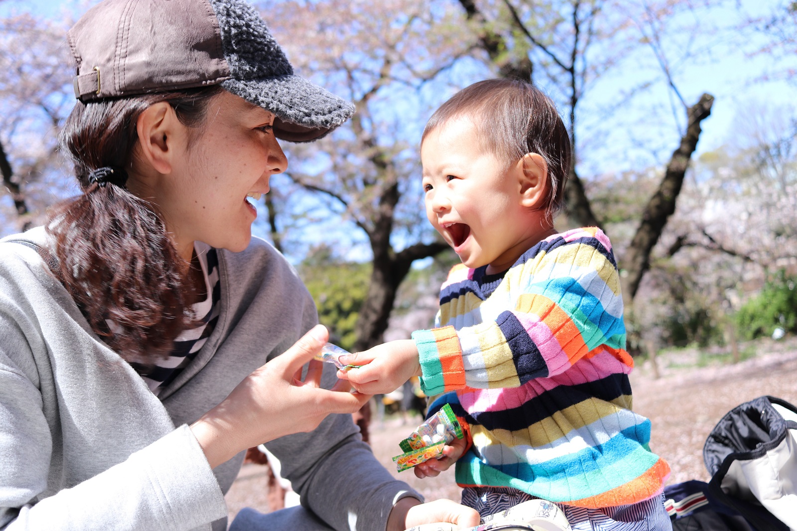 井の頭公園 親子 撮影 Fotonowa